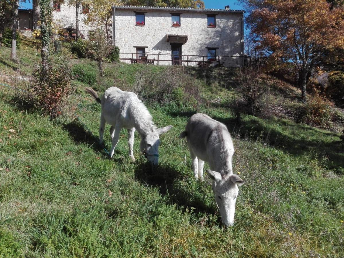 I Casali Del Buontempo Villa Buggiano Екстериор снимка